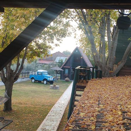 Traditional Guesthouse 特里卡拉 外观 照片